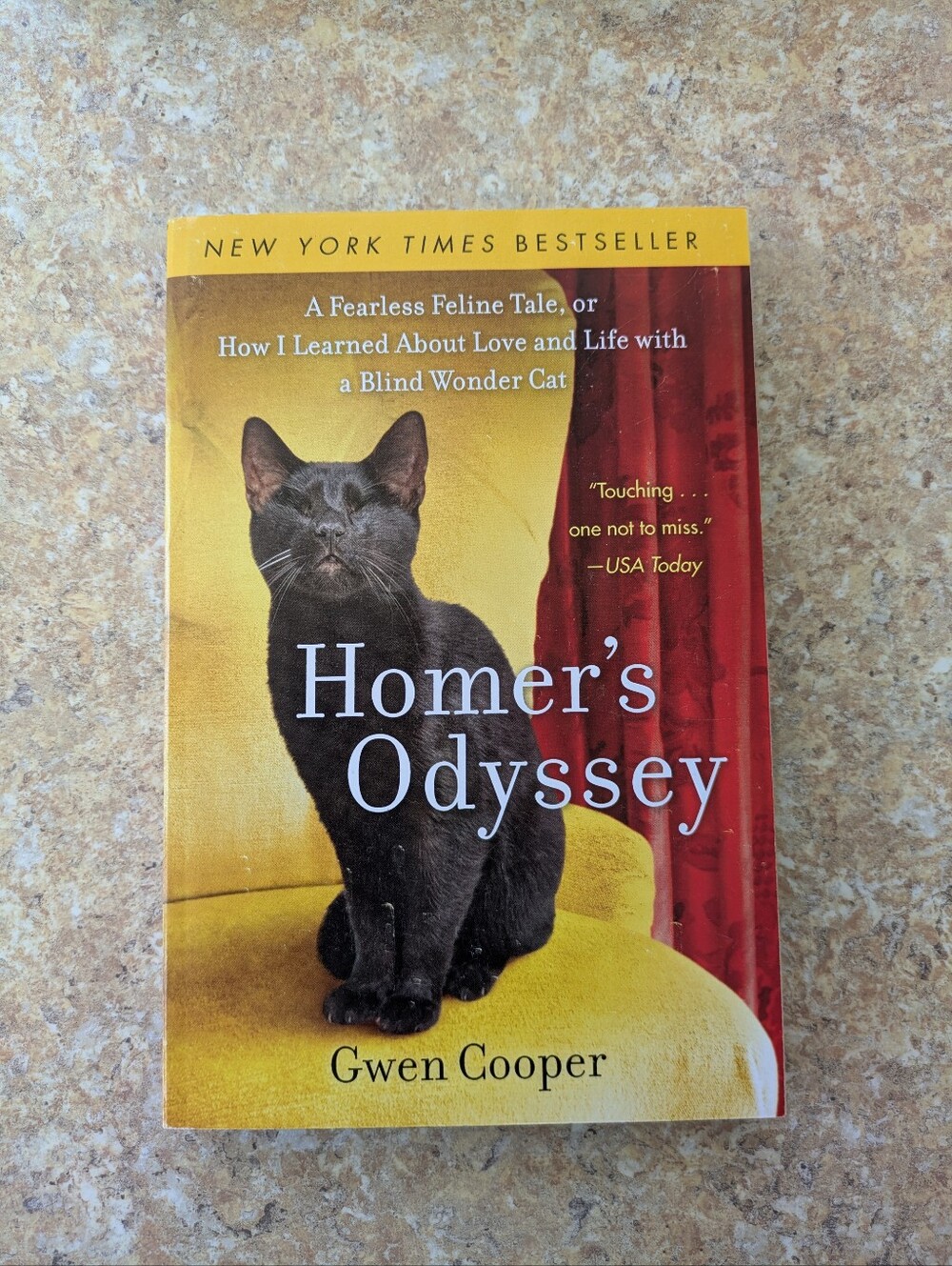 Homer's Odyssey by Gwen Cooper